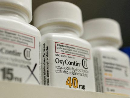 BUY OXYCODONE TABLETS UK